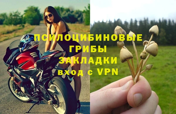 прущая мука Нея