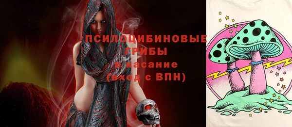 прущая мука Нея