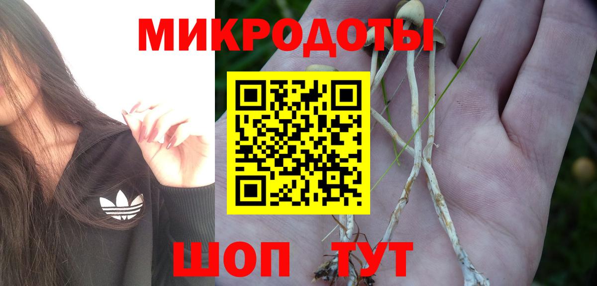 Псилоцибиновые грибы Psilocybine cubensis Канск