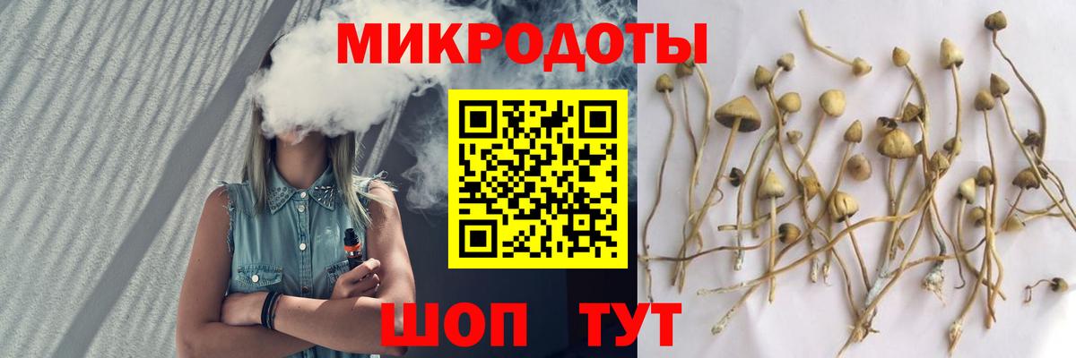 Канск  наркота  Вход с VPN  Галлюциногенные грибы Magic Shrooms  Псилоцибиновые грибы Cubensis 