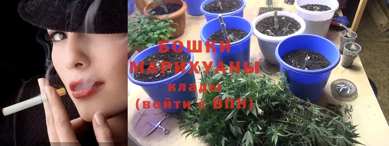 наркота  Канск  МАРИХУАНА OG Kush 