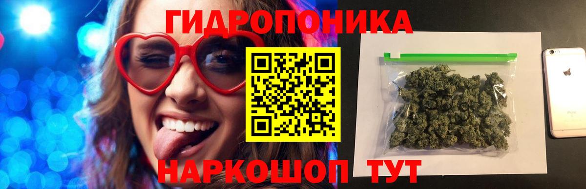 Конопля план  Канск  Канабис планчик 