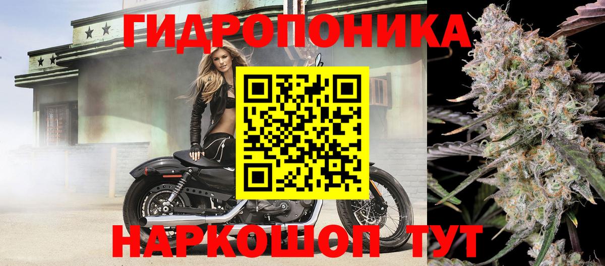Шишки марихуана ГИДРОПОН Канск